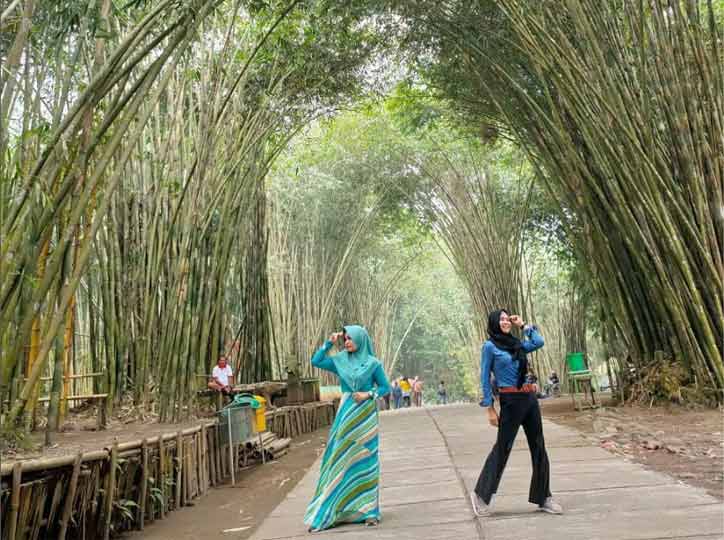 tips berkunjung ke Hutan Bambu Lumajang