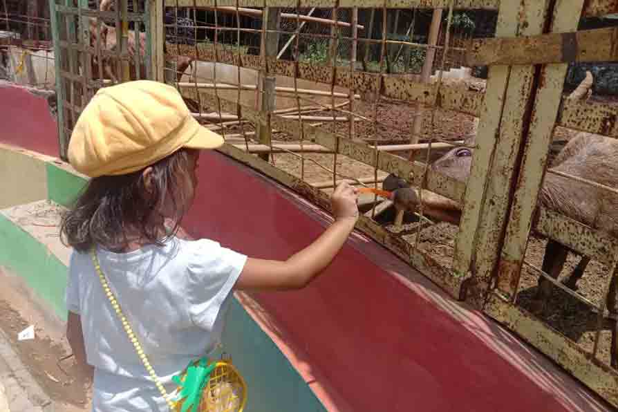 tips berkunjung ke Semarang Zoo