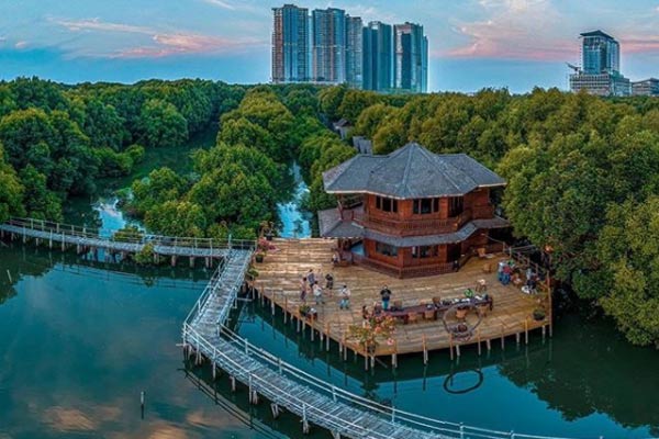 Wisata Mangrove Jakarta - Harga Tiket Masuk & Spot Foto Terbaru 2022